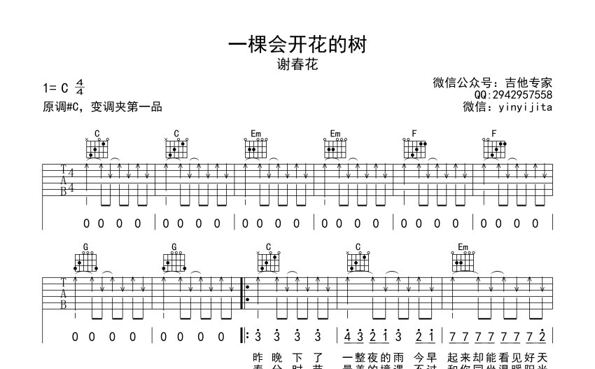 谢春花一棵会开花的树吉他谱c调吉他弹唱谱