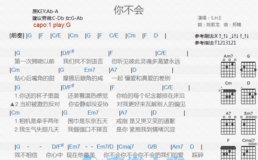 S H E《你不会》吉他谱 G调吉他弹唱谱 和弦谱 打谱啦