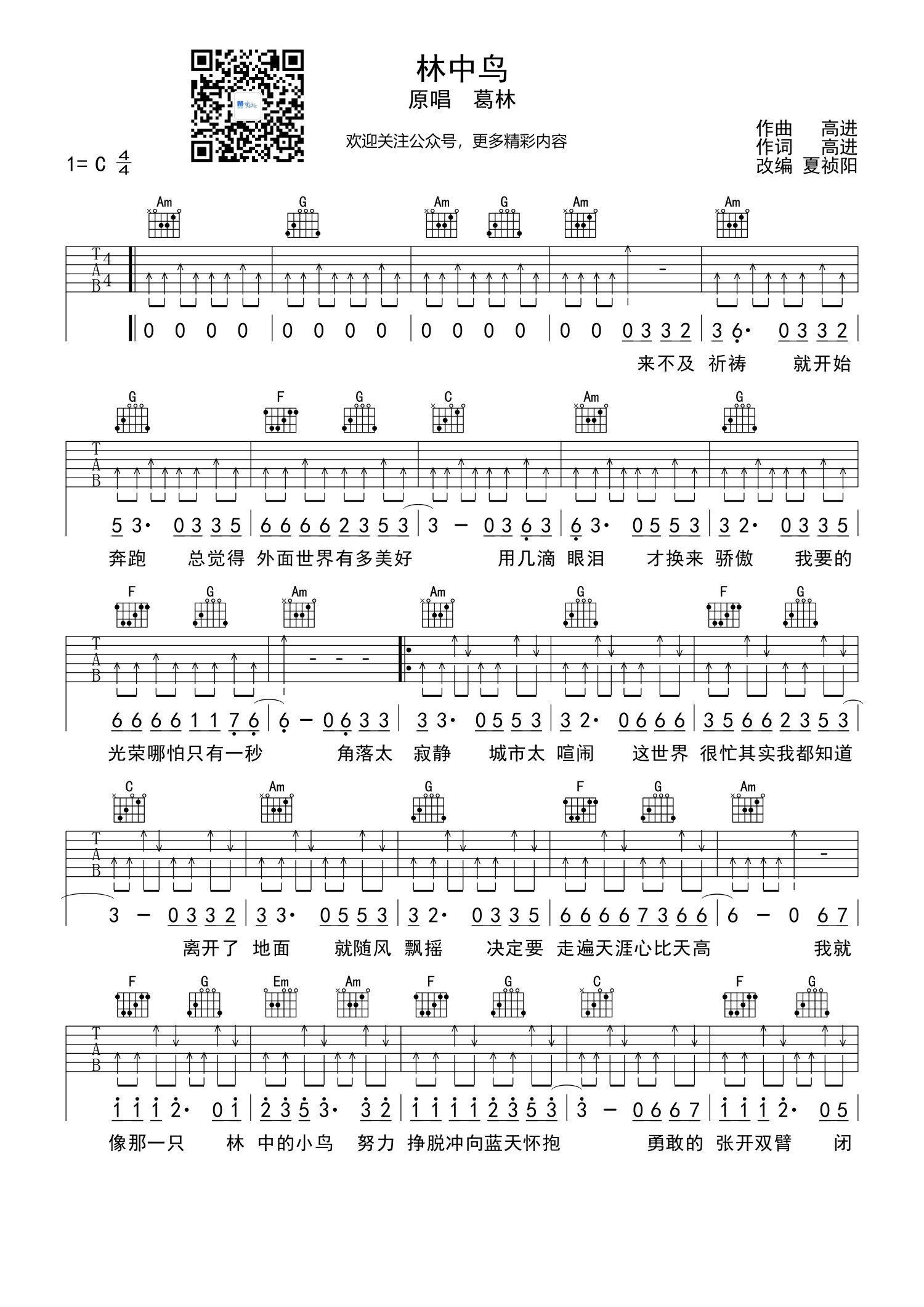 葛林林中鳥吉他譜c調吉他彈唱譜