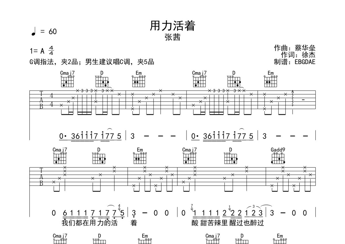 張茜用力活著吉他譜g調吉他彈唱譜