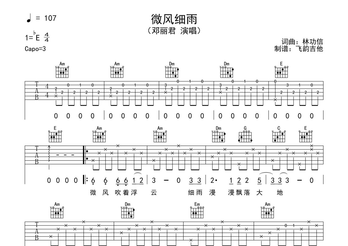 邓丽君微风细雨吉他谱c调吉他弹唱谱